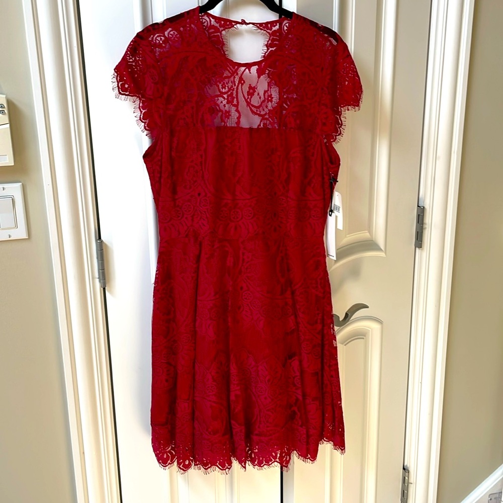 BB Dakota Rhianna Open Back Lace Flare Dress, red/crimson